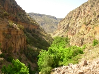 Bandelier